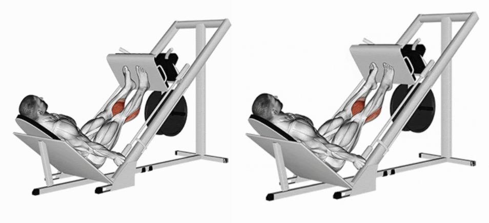 Demonstração de Elevação de panturrilhas no leg press 45°