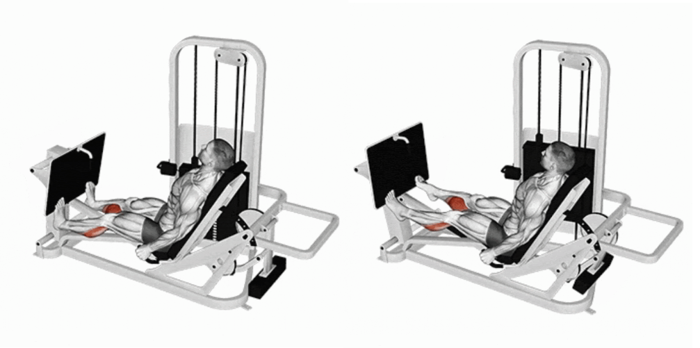 Demonstração de Elevação de panturrilhas no leg press horizontal