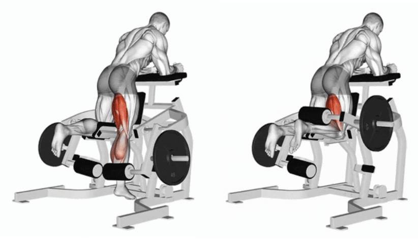 Demonstração de Posterior de Pernas Máquina