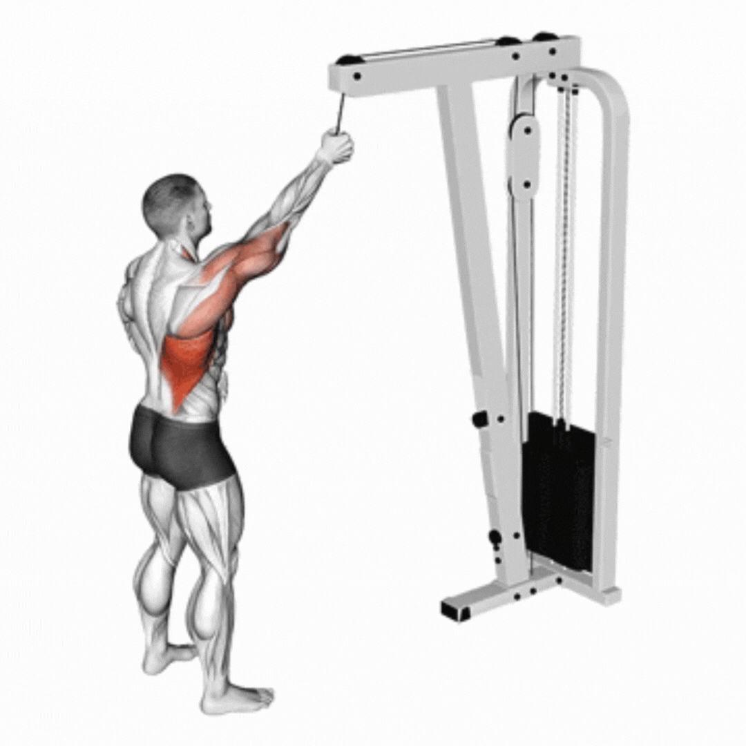 Demonstração de Pulldown Unilateral no Cabo