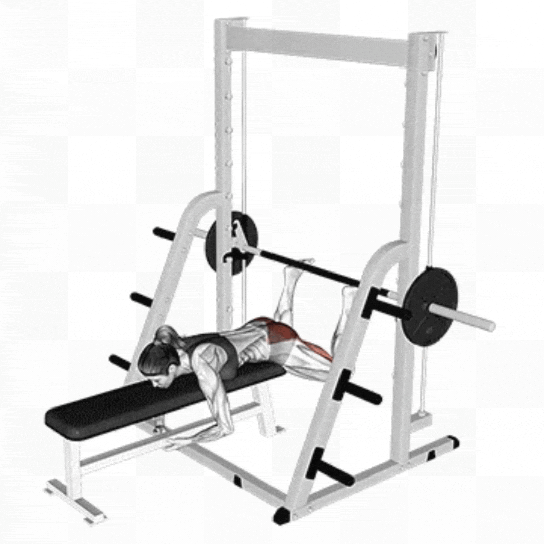 Demonstração de Leg press vertical no Smith