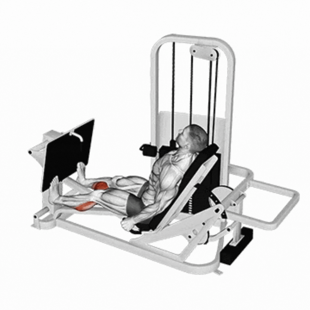 Demonstração de Elevação de Panturrilha no Leg Press horizontal