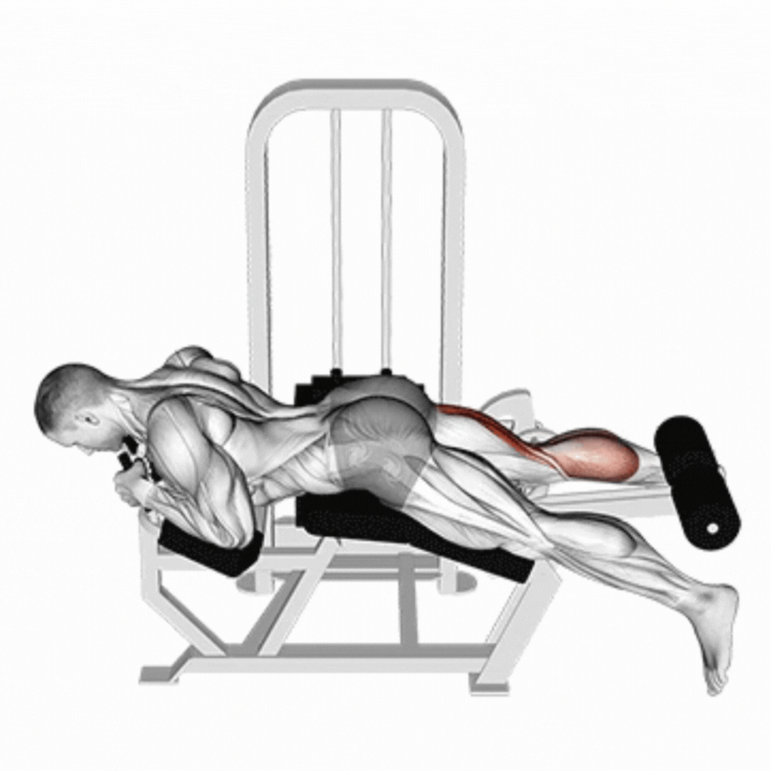 Demonstração de Mesa Flexora Unilateral