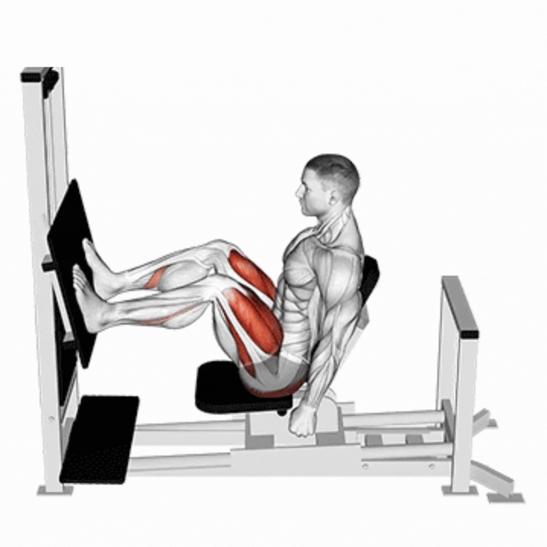 Demonstração de Leg Press Horizontal