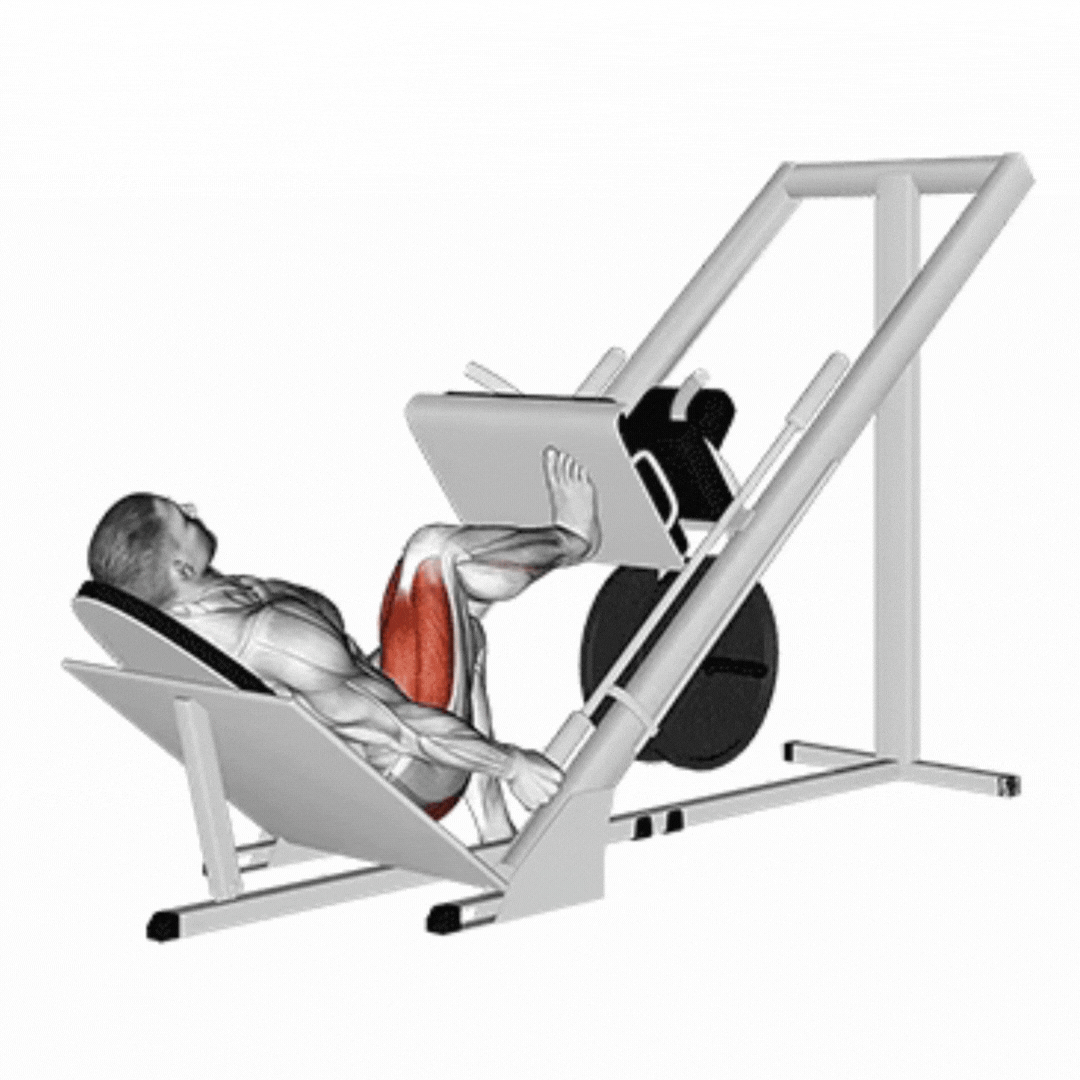 Demonstração de Leg Press unilateral