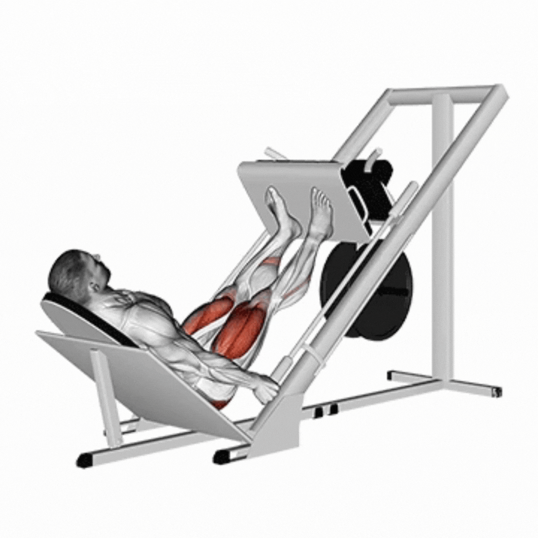 Demonstração de Leg press 45°